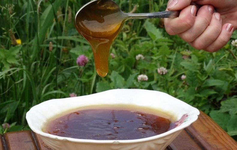 Angelica honning: nyttige egenskaper og påføringsmetoder.