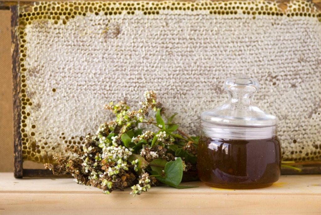 Pohankový med: výhody a poškození jeho složení