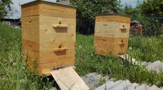 Tổ ong bằng gỗ dán và polystyrene: Lắp ráp