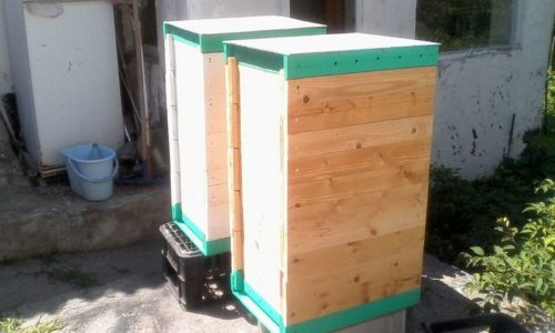 Szarvas kaptár: tervezés és használat a méhészetben