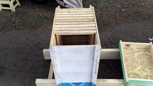 Hornad bikupa: design och användning i bigården