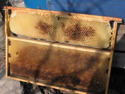 Kuinka tehdä kehys mehiläispesälle: vaiheittaiset ohjeet