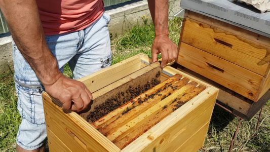 Co jsou to včelí úbory a jak je vyrobit?
