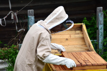 Apa yang termasuk dalam pakaian penjaga lebah, analisis terperinci.