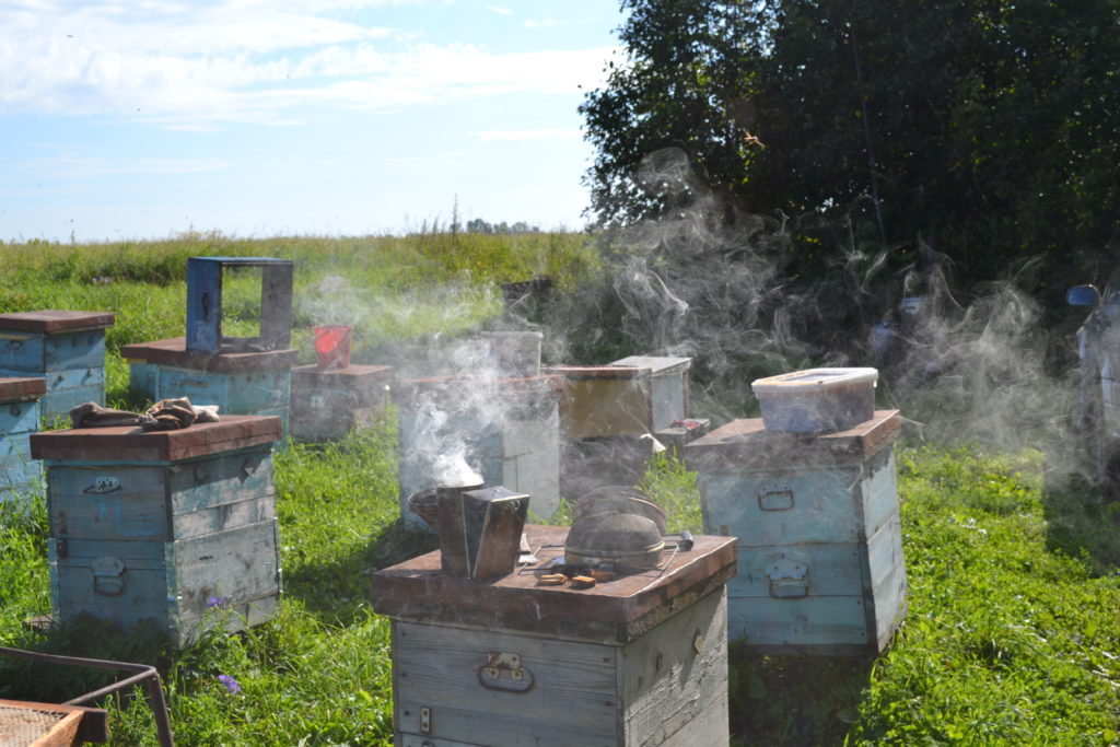 Fumador de abejas y cómo calmar a las abejas