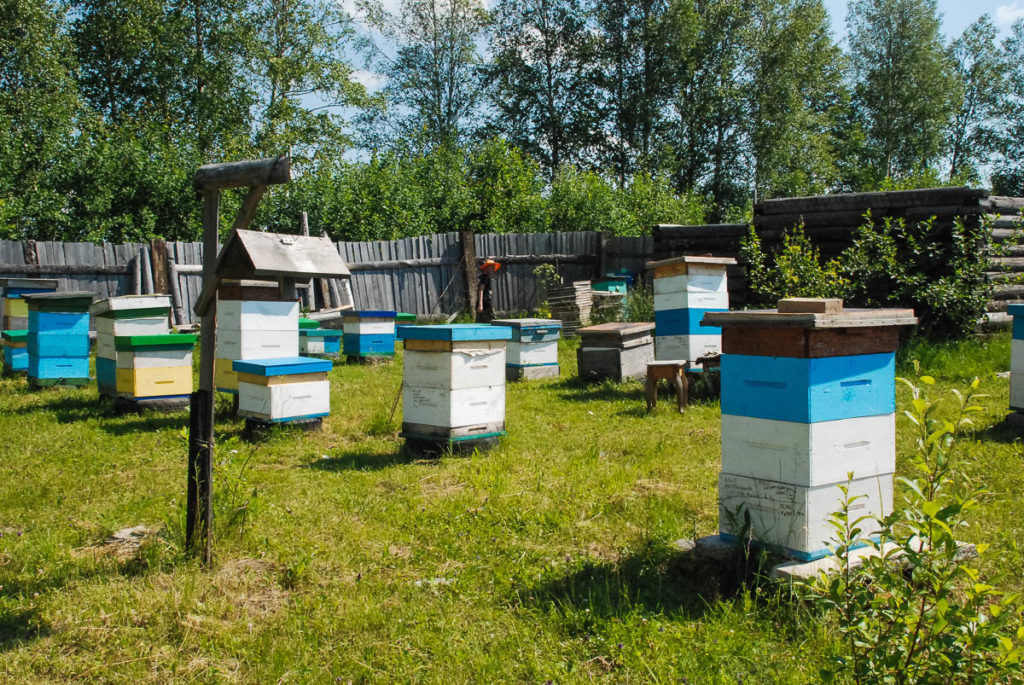 Βιομηχανική μελισσοκομία: χαρακτηριστικά