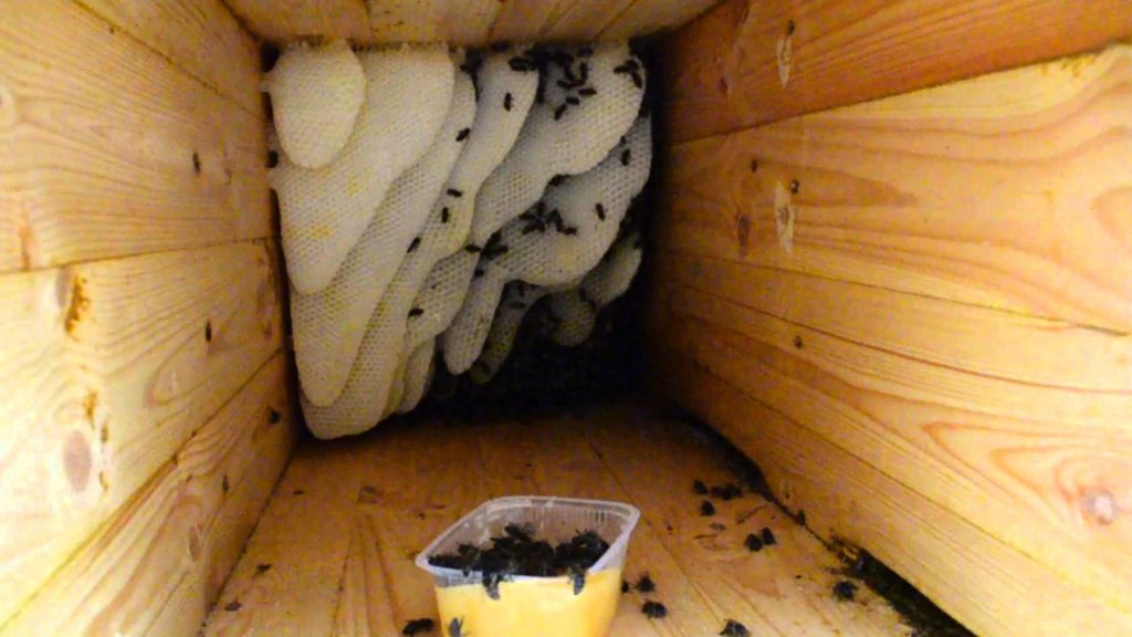 Palubní včelařství: nově vypadající skládací kryt