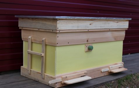 Peternakan lebah dari dua ratu: metode dan karakteristik.