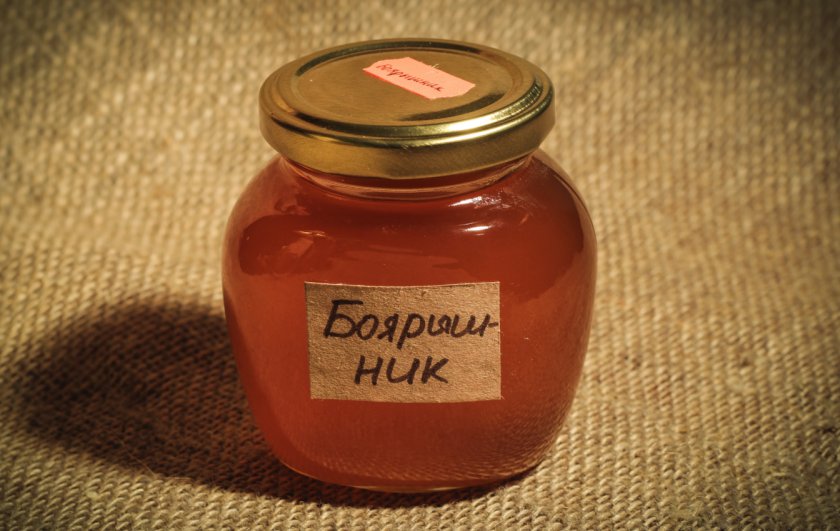 Orapihlaja hunaja: hyödyllisiä ominaisuuksia ja vasta-aiheita.