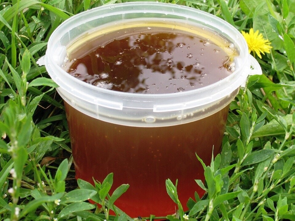 Altai honning: hva skjer, nyttige egenskaper, hvordan skille en falsk