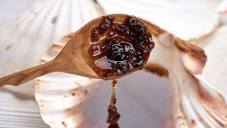 Trepang i honning: hva er det, hvordan du tar det riktig, medisinske egenskaper