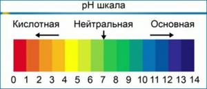 Exponente de hidrógeno (factor de pH) - Hidroponía