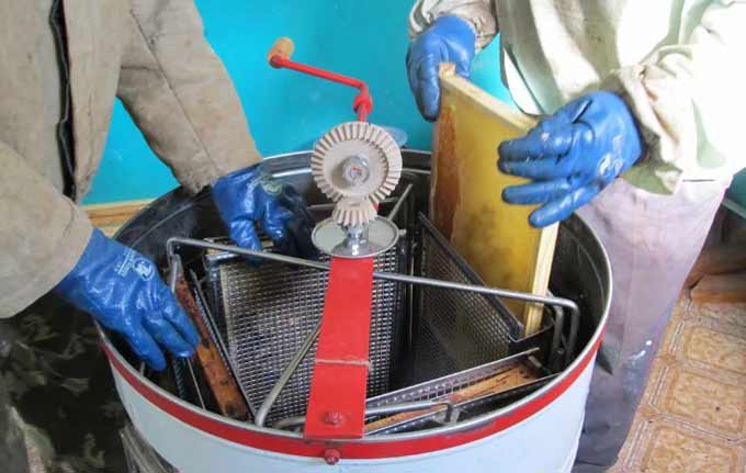 extractor de miel en 4 marcos