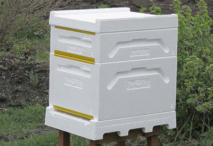 caja de abejas