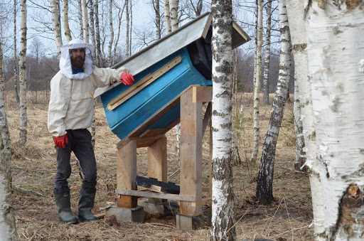 Peternakan lebah dek: penutup lipat yang tampak baru