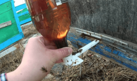 Bebederos para abejas, como hacerte con una botella.