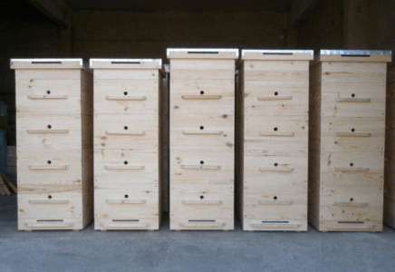 Hive mai ƙaho: ƙira da amfani a cikin apiary