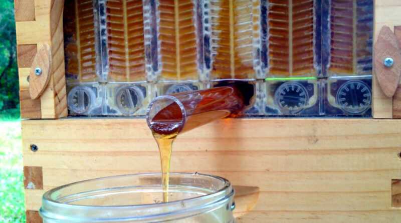 Stup de albine cu robinet de scurgere de miere