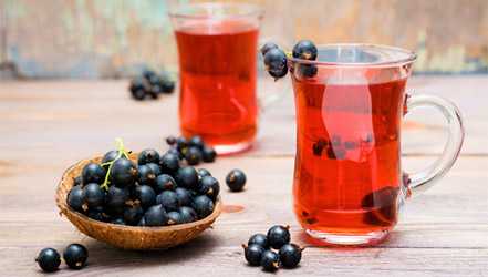 Blackcurrant broth (compote)