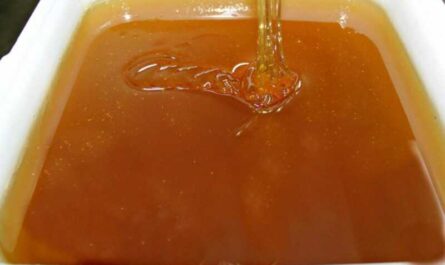 Miel de esparcet: propiedades y usos medicinales