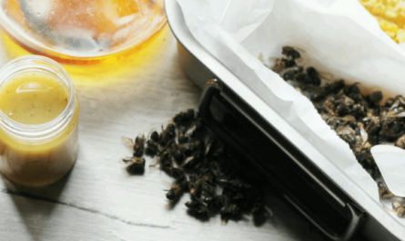 Ungüento de abeja: recetas y alcance.