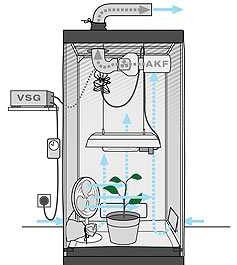 Ventilación de la caja de cultivo - Hidroponía