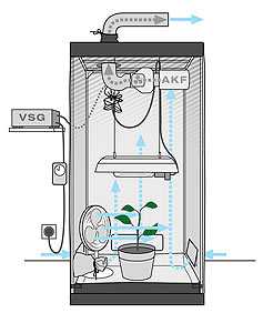 Ventilación de la caja de cultivo – Hidroponía