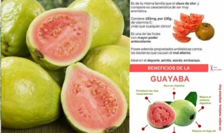 Guayaba, Calorías, beneficios y daños, Beneficios