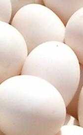 Huevos de pato, Calorías, beneficios y daños, Propiedades útiles