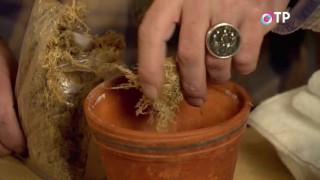 Zet mos op de bodem van de keramische pot.