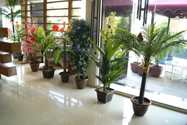 Plantas ornamentales en el vestíbulo del edificio.