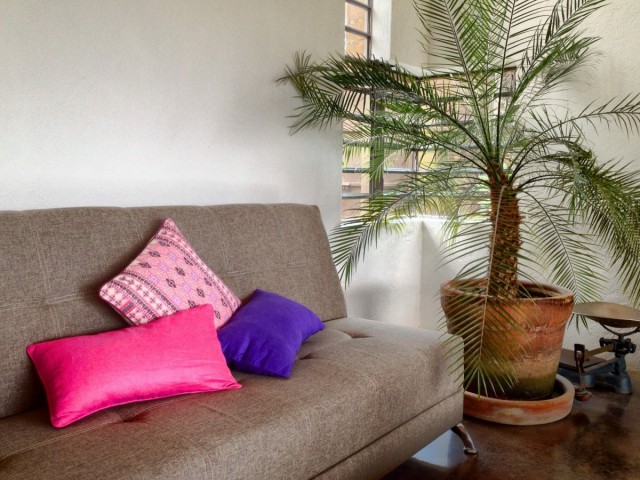 Palmbomen in een keramische pot binnenshuis.