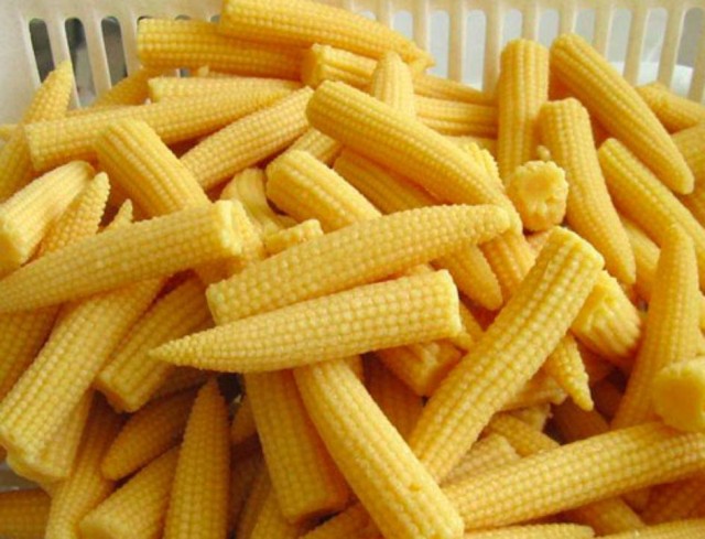 Las mazorcas de maíz en miniatura son muy delicadas y deliciosas, por lo que se pueden comer enteras incluso crudas.