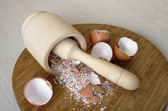 Para usar cáscaras de huevo como fertilizante, debes convertirlas en polvo.