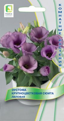 Eustoma de flores grandes "Suite Lilac"