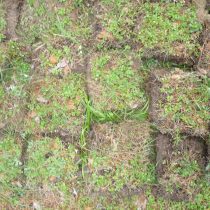 La tierra de césped se obtiene de debajo del césped del campo, cortada en cuadrados de unos 5 cm de espesor