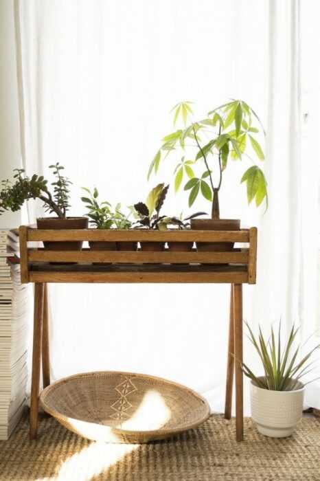 Jardineras: una opción para colocar plantas para el interior.