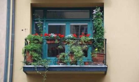Jardines colgantes o un estudio verde en el balcón. - partida