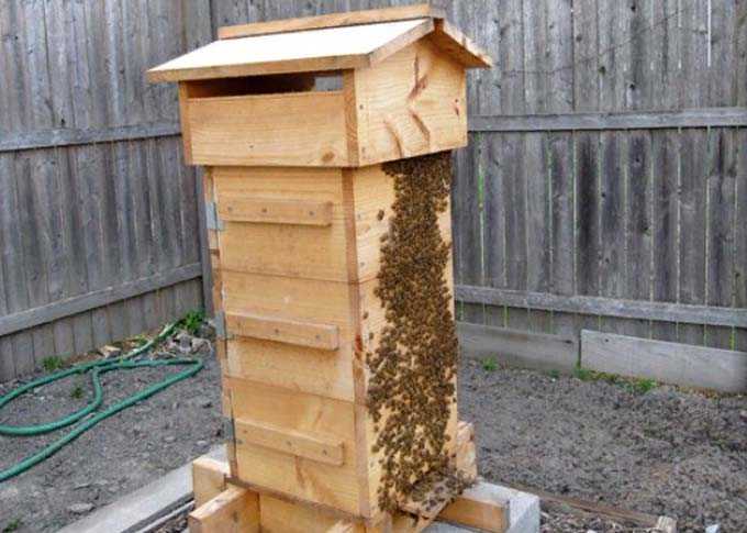 DIY mehiläispesän kokoonpano -