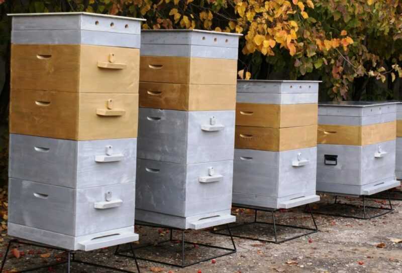 Suosittuja mehiläispesätyyppejä -
