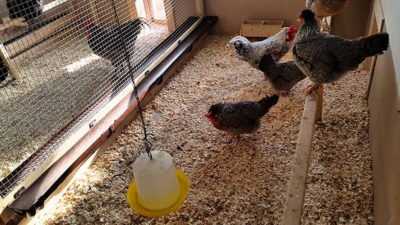 Kanankopan lämmitysmenetelmä talveksi –