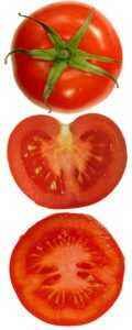 Caractéristiques de la tomate américaine côtelée