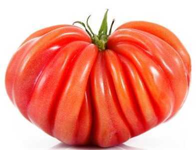 Caractéristiques de la tomate de boeuf