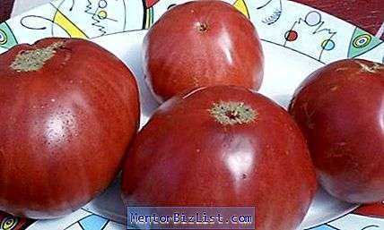 Caractéristiques de la variété de tomate Andreevsky surprise