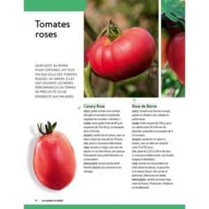 Caractéristiques de la variété de tomate Riddle Nature