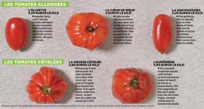Caractéristiques de la variété de tomates Richie