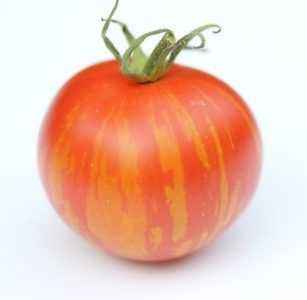 Caractéristiques de la variété tomate Country pet