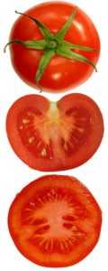 Caractéristiques des joues épaisses de tomates