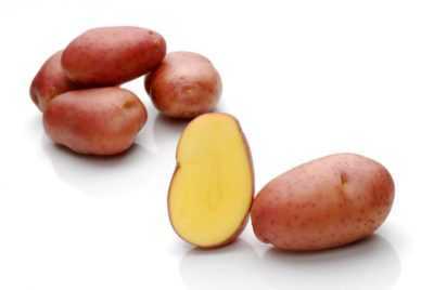 Caractéristiques des pommes de terre Arosa