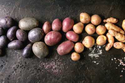 Caractéristiques des variétés de pommes de terre Natasha